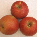 Apples, Harrell's Red