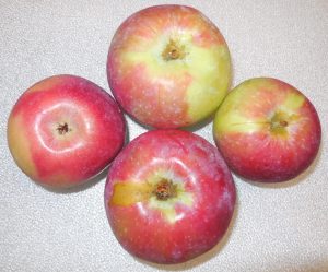 Apples, Jersey Mac