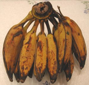 Bananas, Saba Cooking