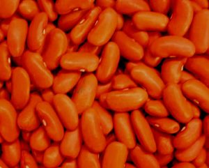 Beans (Kidney)