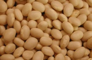 Beans (Navy)