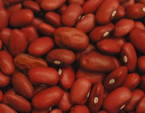 Beans (Small Red)