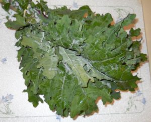 Kale, Russian