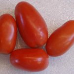Tomatoes, Roma (Italian or Plum)