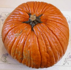 Thanksgiving Pumpkin Recipes - 01