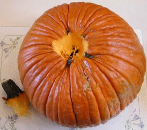 Thanksgiving Pumpkin Recipes - 02